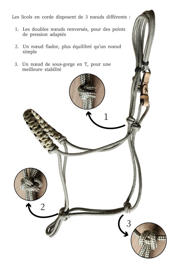 Licol Simple – Image 3