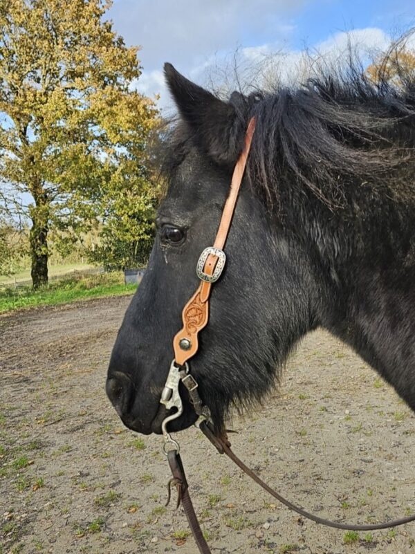 Bridon One Ear Slide – Image 4